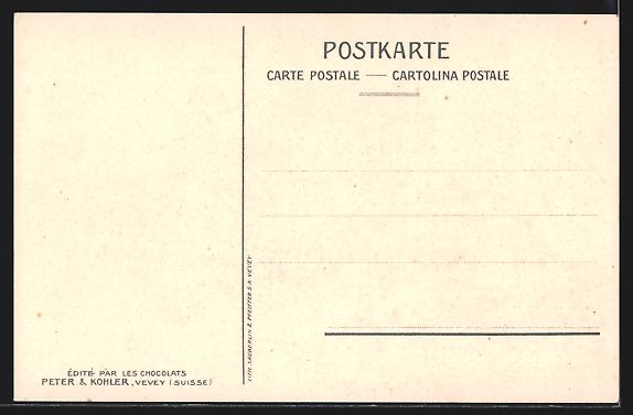 Cartoline postali: Lithographie Nyon, Chateau de Nyon – Usato da Berlin venduto da bartko-reher 1