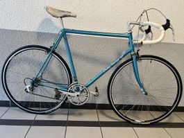 Rennvelo Fredy Ruegg  