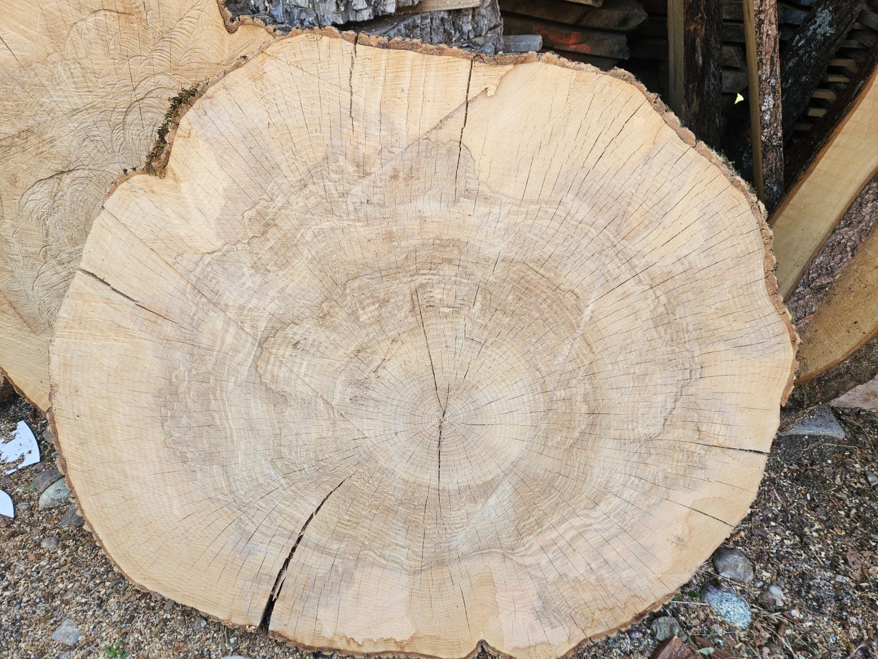 Articles en bois: Eschen Holz Baumscheibe – Neuf (Voir description) à Schangnau par egli6.2 1