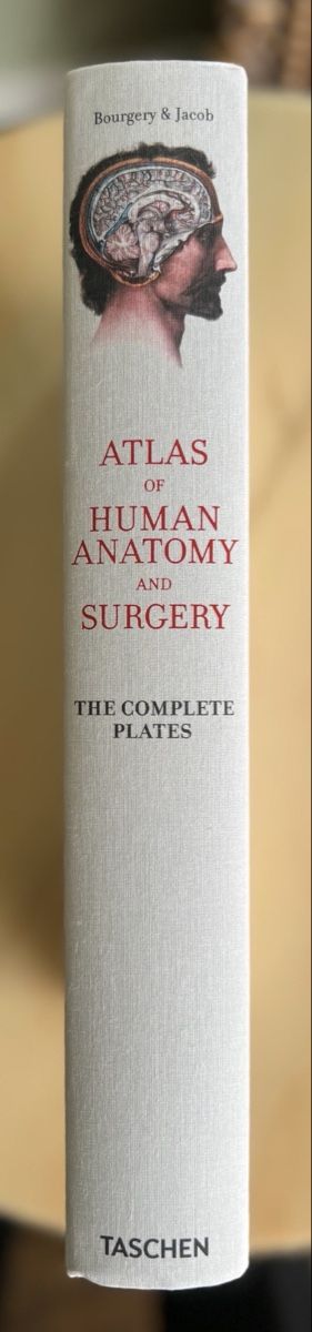 Libri: Anatomie Mensch – Nuovo (secondo la descrizione) da Baar venduto da TheArchive 1