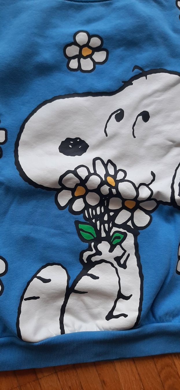 Kleiderpakete & -sets: Peanuts Snoopy Mädchen Pullover und Jeans  Hose Gr 158 – Gebraucht aus Volketswil von AKozacenko 1