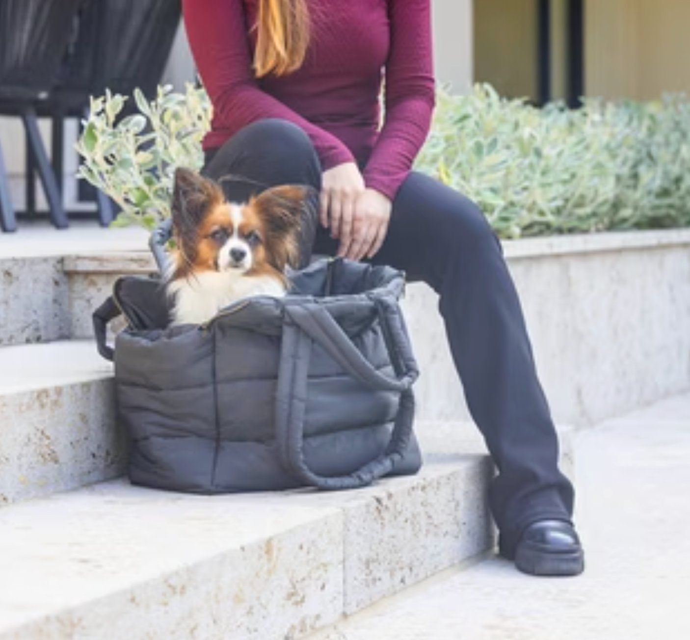 Borse: Hundetragetasche – Usato da Zürich venduto da SUSCH73 4