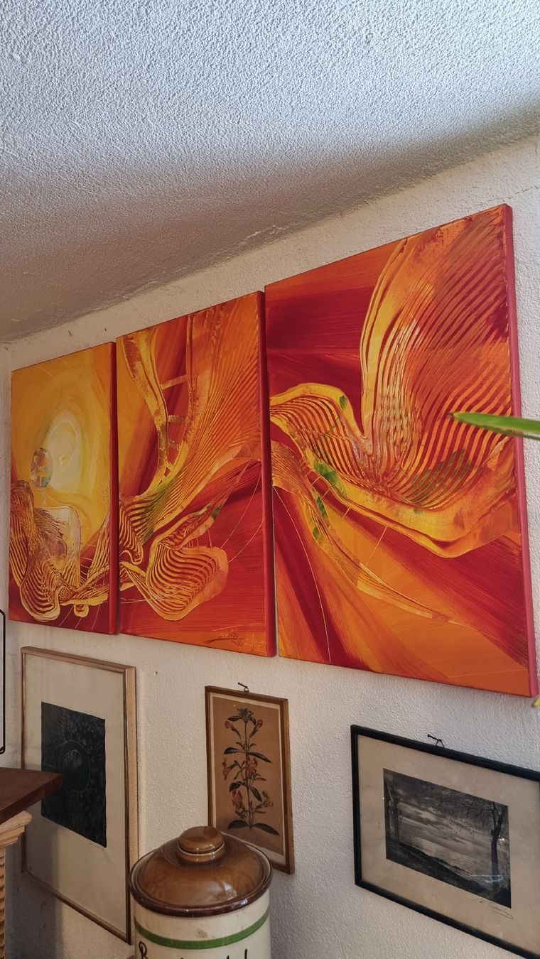 Foto & Immagini: 3 Teiliges Bild – Usato da Sils im Domleschg venduto da platin01 1