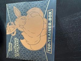 Pokemon Glänzendes Schicksal ETB Deutsch