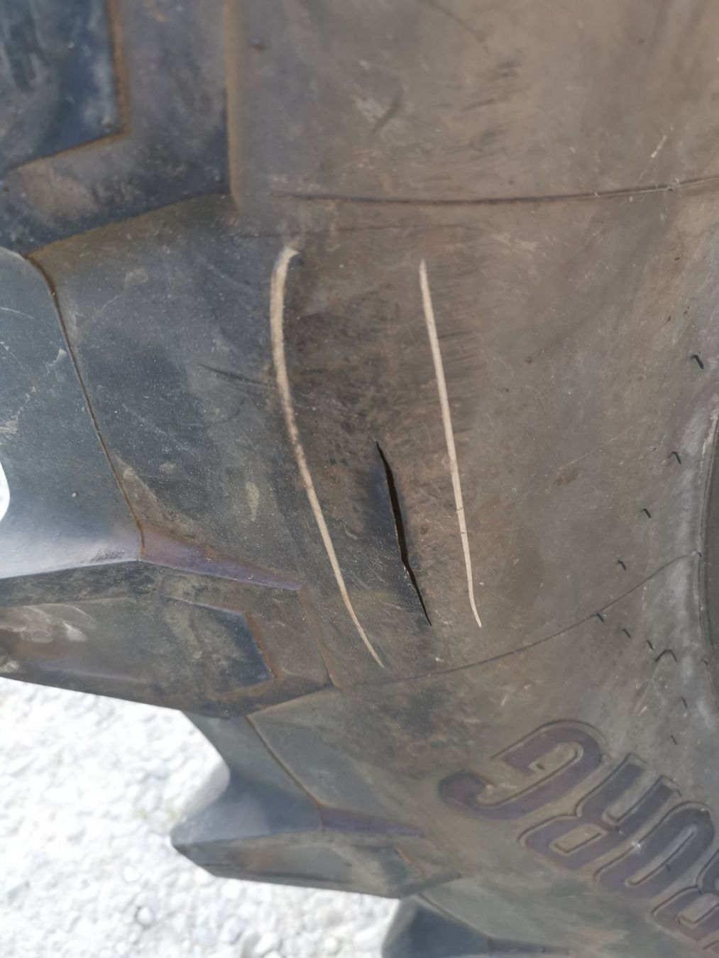 Pneumatici & Ruote complete: TRELLENBORG 600/65 R42 Defekt – Difettoso da Buttwil venduto da obelix-idefix 4