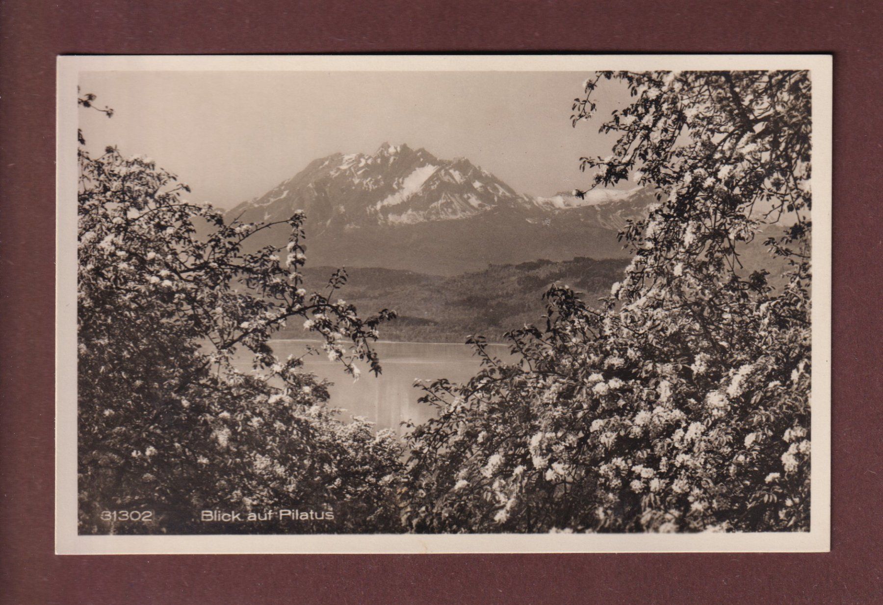 Cartoline postali: Blick auf PILATUS - 1929 – Usato da Pully venduto da nicecards-shop