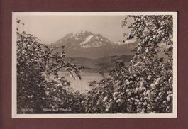 Blick auf PILATUS - 1929