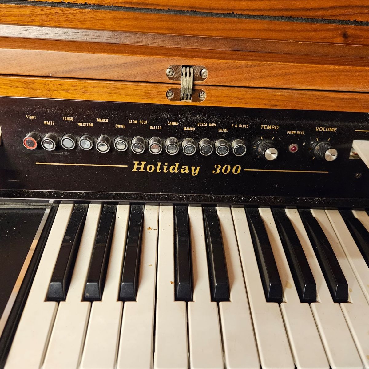 Hohner Strumenti musicali: Orgel / Hohner Holiday 300 – Usato da Buchs ZH venduto da claudiac76 1