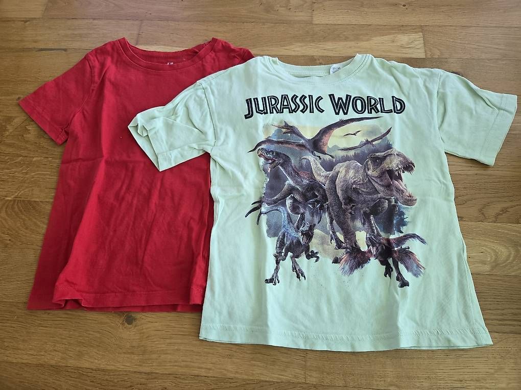 Camicie, T-shirt & Polo: 2x T-Shirt Gr.110/116 – Usato da Mönchaltorf venduto da snowwater
