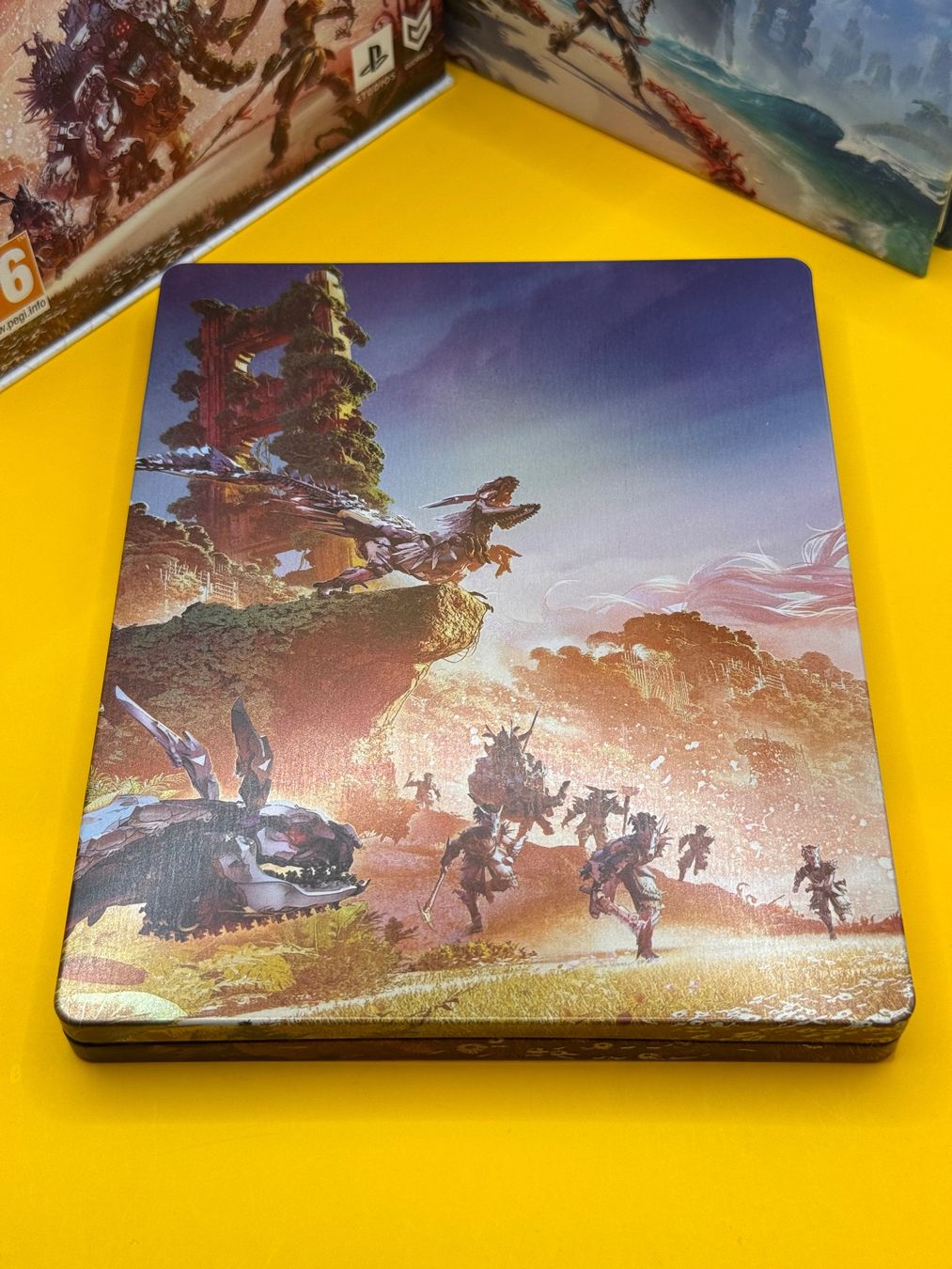 Sony Giochi: Horizon Forbidden West PS5 Special Edition – Usato da Oberwil b. Zug venduto da silver2024 9