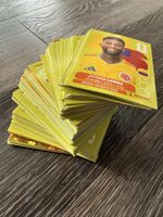 Panini 215 Stück
