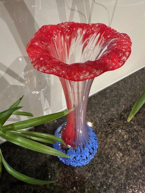 Vasi & Recipienti: *  VaSe  * – Nuovo (secondo la descrizione) da Winkel venduto da zeho 1