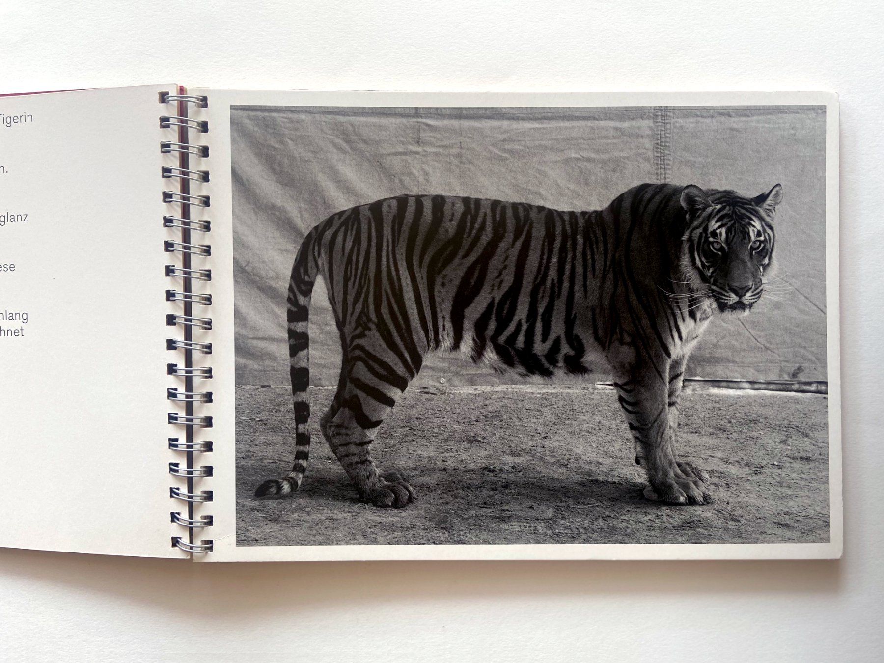 Libri: «Klick!», sagte die Kamera. Balthasar Burkhard. 1997/2000. – Usato da Zürich venduto da Tulsa1968 2