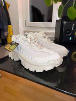 Cat Footwear Intruder