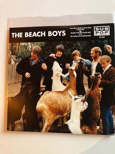 Dischi in vinile: Beach Boys – Nuovo (secondo la descrizione) da Aarwangen venduto da Jukebox3