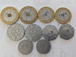 Mauritania circulating coins,delivery end of Oct