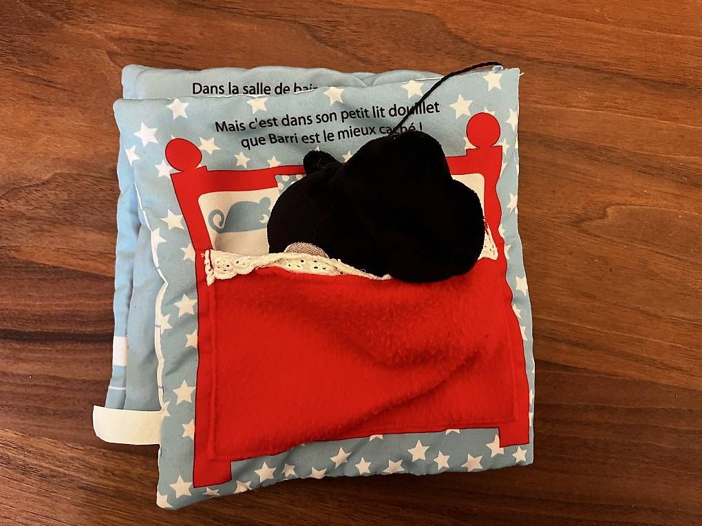 Bücher: Baby Stoff (Lern)Bücher – Gebraucht aus Bern von Maeuchterli 4