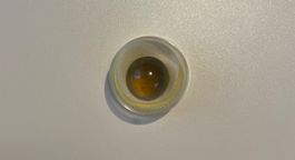 Apatite Cat‘s Eye / 25.2 Karat