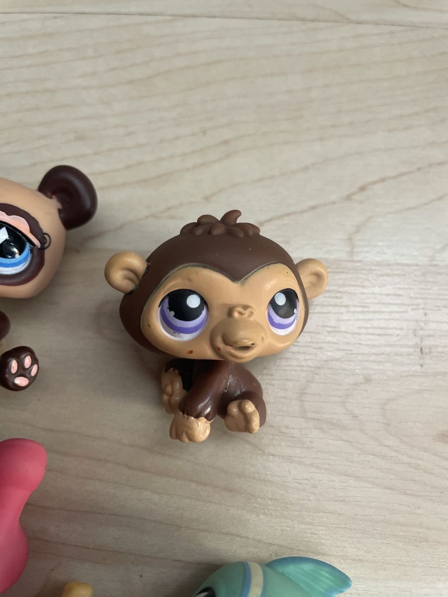 Hasbro Giocattoli: Littlest Pet Shop Set – Usato da Fribourg venduto da tinavon 4