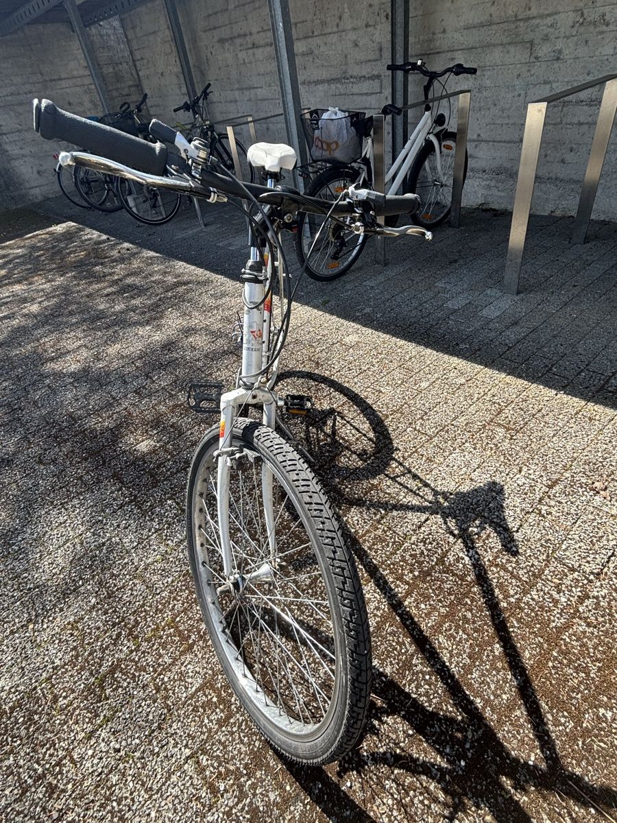 Peugeot Velos: Peugeot Crazy Horse – Gebraucht aus Winterthur von mir_5pxz 3