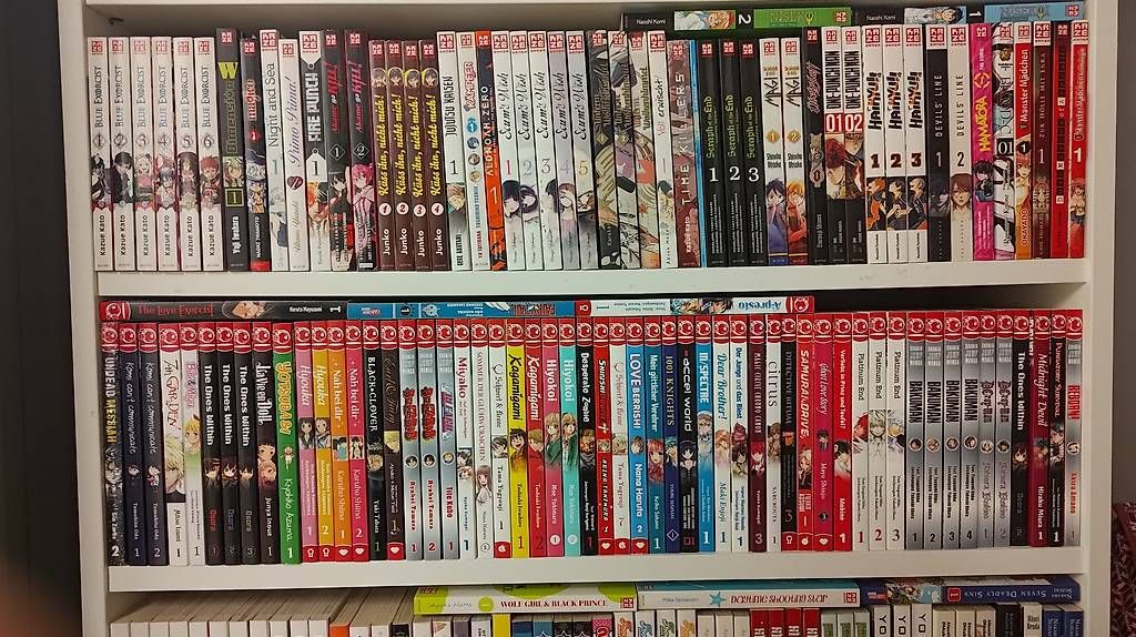 Comics: Diverse Mangas – Gebraucht aus Dietikon von Alex4869 2