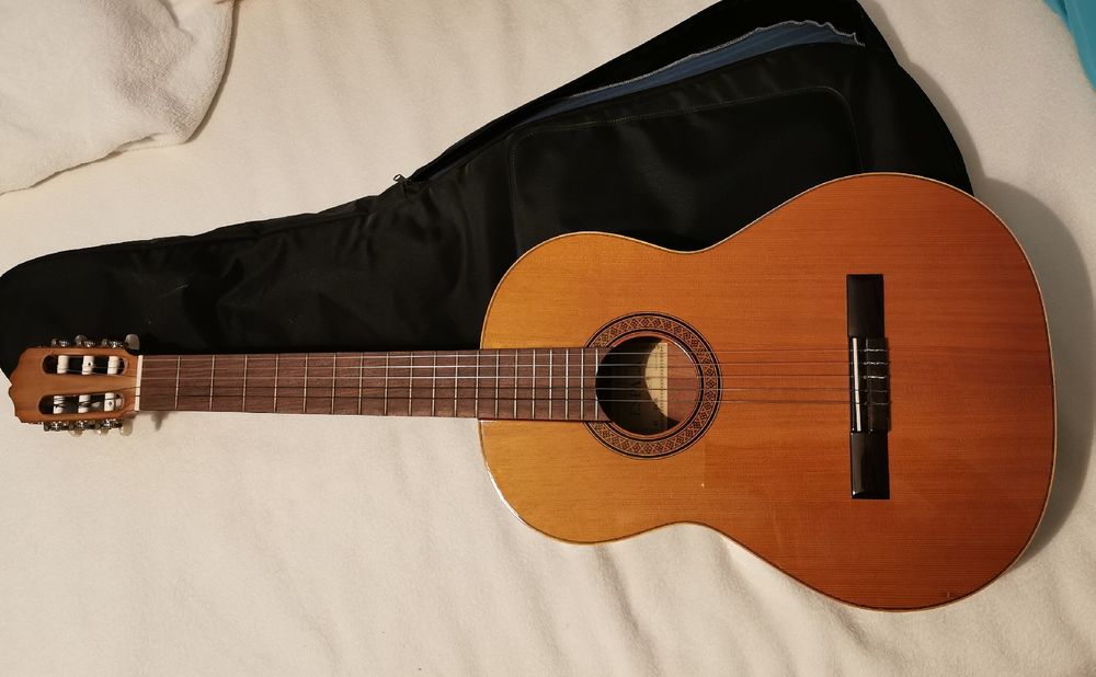 Gitarre (Gebraucht) in Bülach für CHF 85 – nur Abholung auf Ricardo kaufen