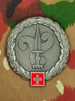 Béretemblem Lehrverband Logistik, Variante 2
