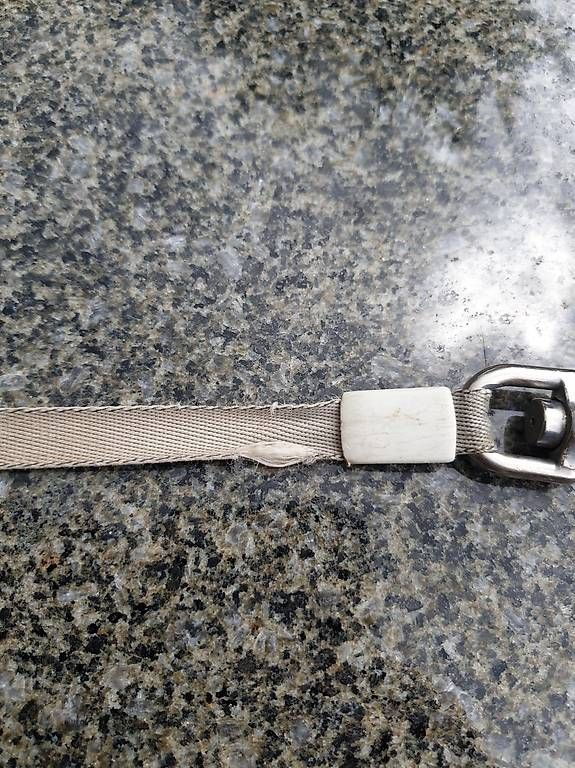 Leine & Halsband: Flexi 10m Leine – Gebraucht aus Rickenbach LU von trucker.s