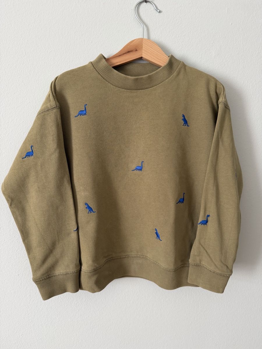 Pullover & Sweatshirts: Arket Pullover mit Dinos Gr. 110/116 🦕 – Gebraucht aus Zürich von rf_fr