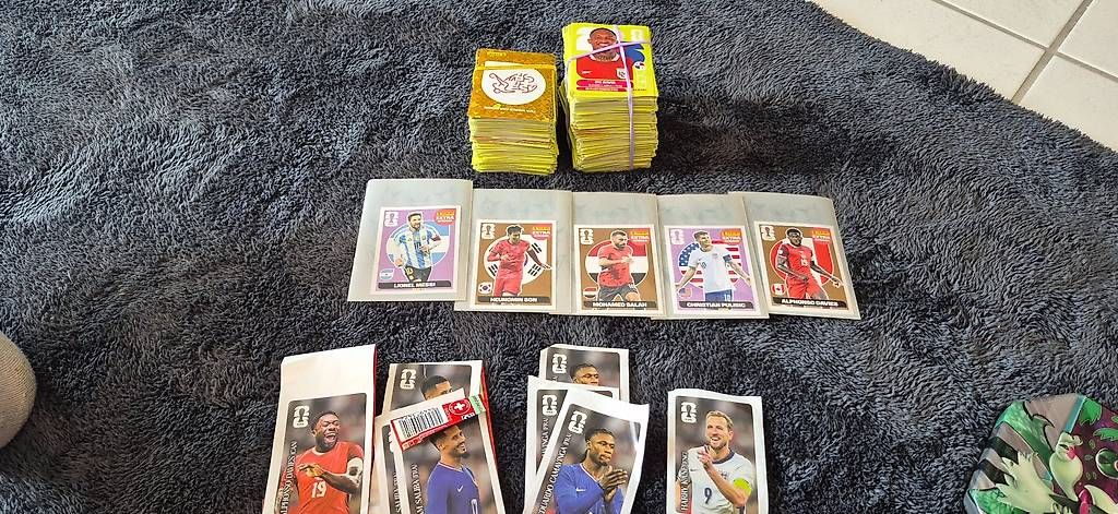 Carte collezionabili: Wm 2026 Panini Sammlung mit 5 extra Sticker – Usato da Liestal venduto da LeaMic 1