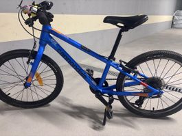 Cannondale Kids Quick 20 – leichtes Kinder-Velo, 7 Gänge, gu