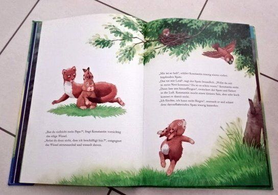 Livres: Kater Vater Hasensohn – D'occasion à Wetzikon ZH par strubeli024 2