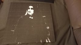Mäleficentt-..Palemoon/.Spectral Vision Vinyl LP BLACK METAL