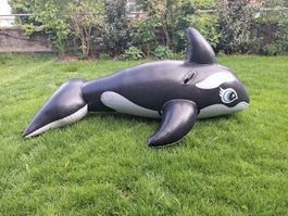 Orca, aufblasbares Schwimmtier, Intex
