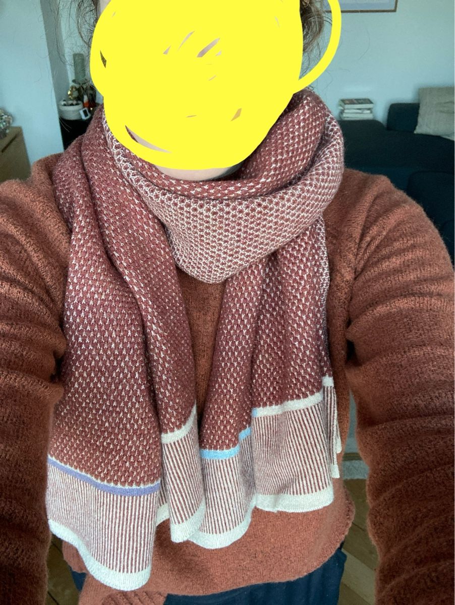 Foulard & Sciarpe: Schal aus Wolle rostrot – Usato da Luzern venduto da nisssa