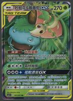Snivy & Venusaur GX RR Tag Team CH ab 1.-