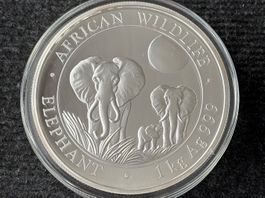 1 Kg Somalia Elefant Silbermünze 2014