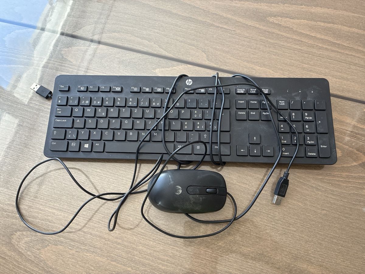 Hewlett Packard Tastiere: hp Tastatur und Maus – Usato da Wetzikon ZH venduto da Higure