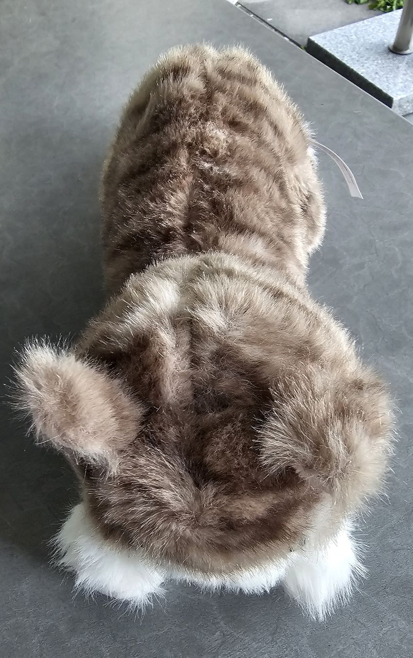 Giocattoli: Plüschkatze, neu – Nuovo (secondo la descrizione) da Grosshöchstetten venduto da Chaotik-Reptil 1