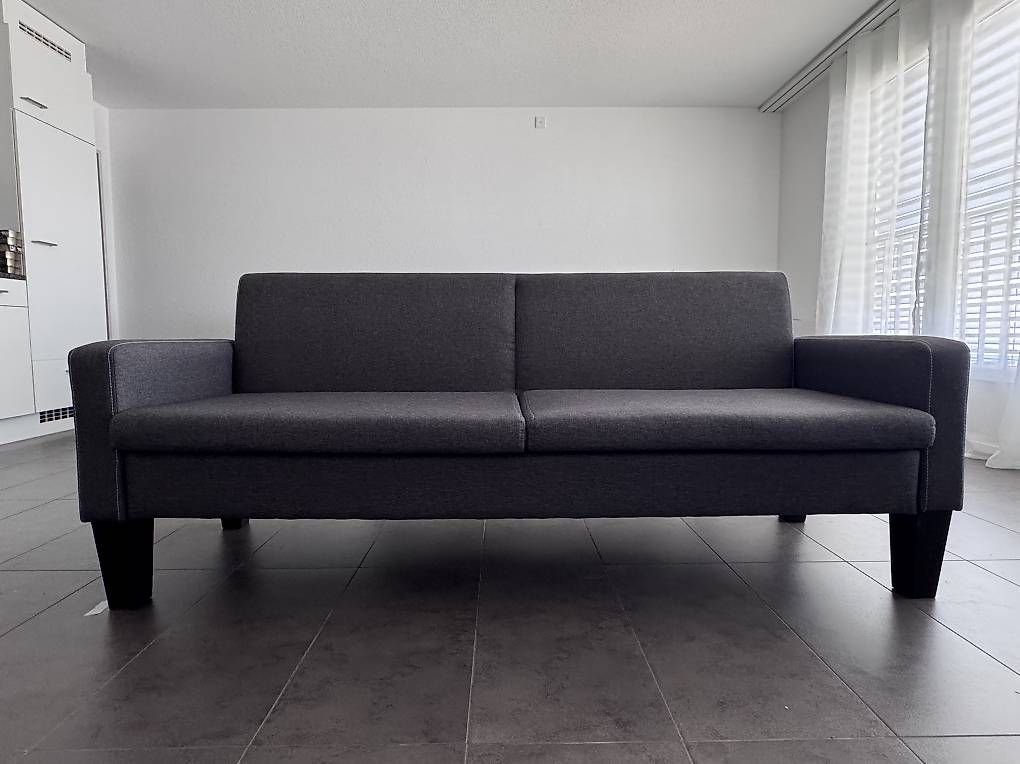 Divani: Canapé 3 places anthracite – Usato da Fribourg venduto da wor_lp9t