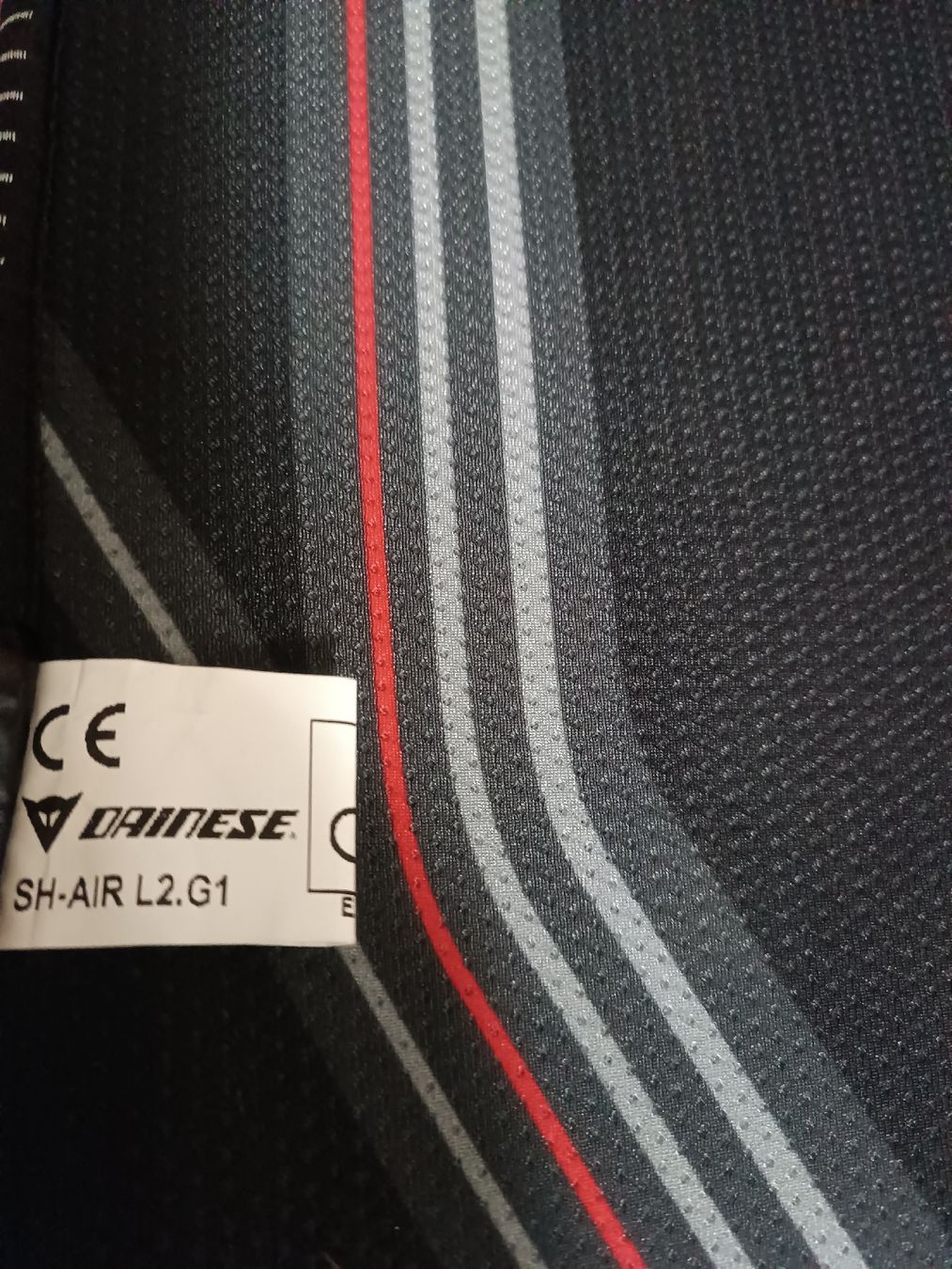 Dainese Protezioni & Imbottiture: Protezione schiena moto – Usato da Bellinzona venduto da JasIvo 1