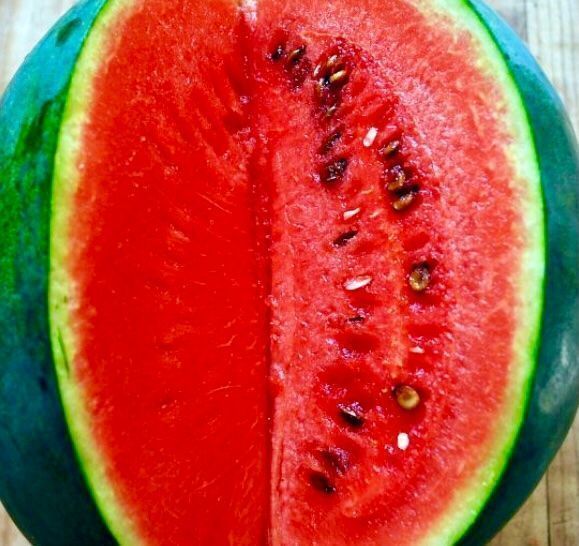Pflanzen & Samen: 10 stk SAMEN Wassermelone SUGAR BABY – Neu und originalverpackt aus Rovio von POSITIFFARTandPLANTS