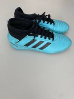 Adidas Fussball-(Hallen-)Schuhe Predator Gr. 37 1/3