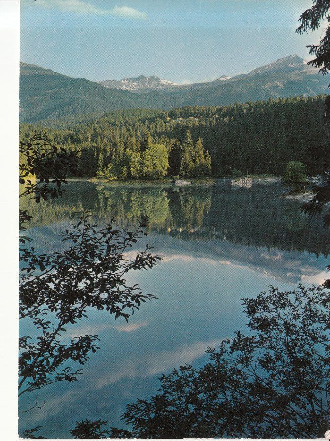 Cartoline postali: Flims Caumasee 1981 – Usato da Bürglen TG venduto da StampGraf