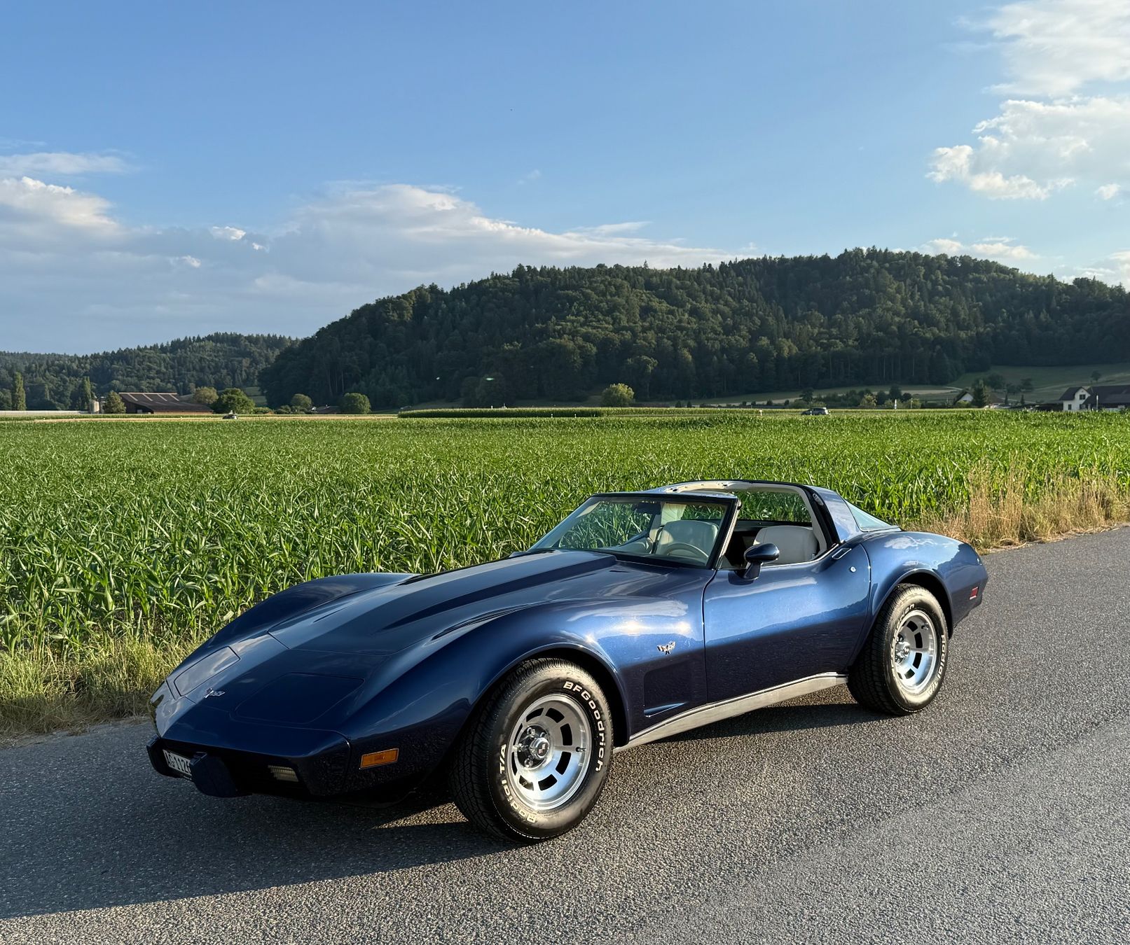 Automobili: Chevrolet Corvette 1979 – Usato da Schafisheim venduto da Schmedi71 1