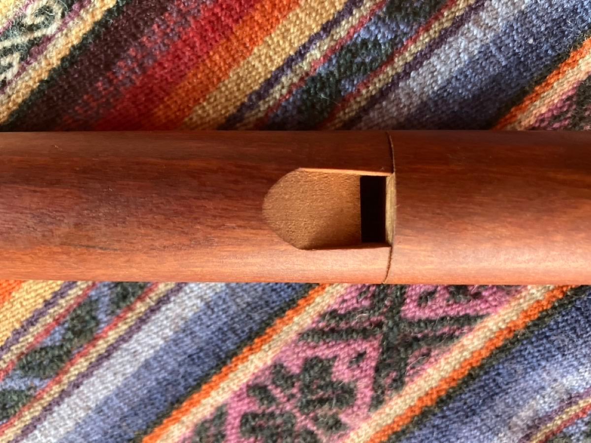 Hohner Strumenti musicali: Sopranblockflöte Hohner, Modern Line, Kirschbaum – Nuovo (secondo la descrizione) da Dornach venduto da SantiagoZG 4