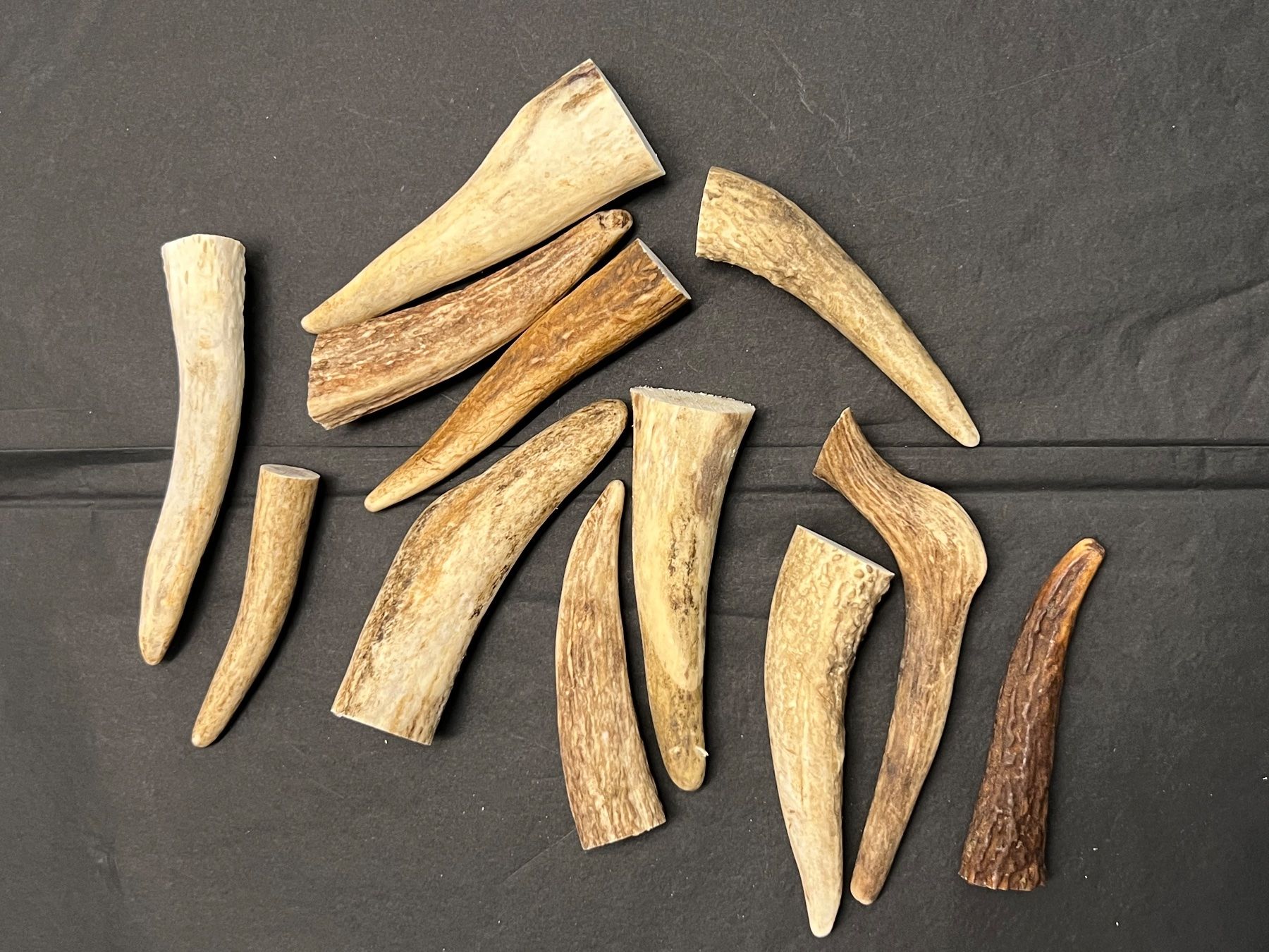 Altre raccolte & rarità: Hirsch Geweih Horn Hirschgeweih Spitzen 8-12cm – Usato da Vaduz venduto da hirschjager 1