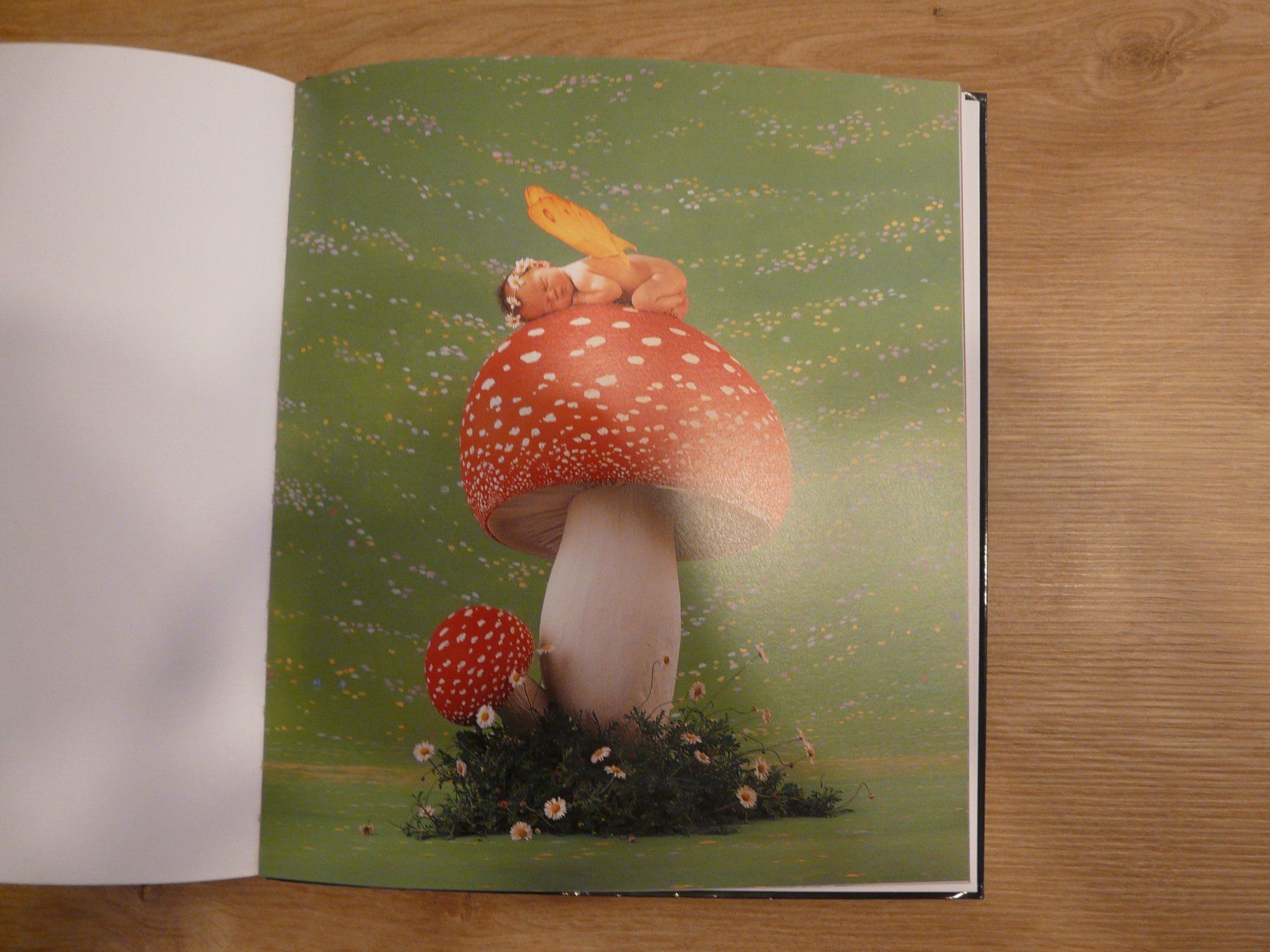 Libri: Buch Will Kommen Anne Geddes – Usato da ERLINSBACH venduto da doudouce 5