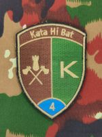 Verbandsabzeichen Kata Hi Bat 4 Kp 4