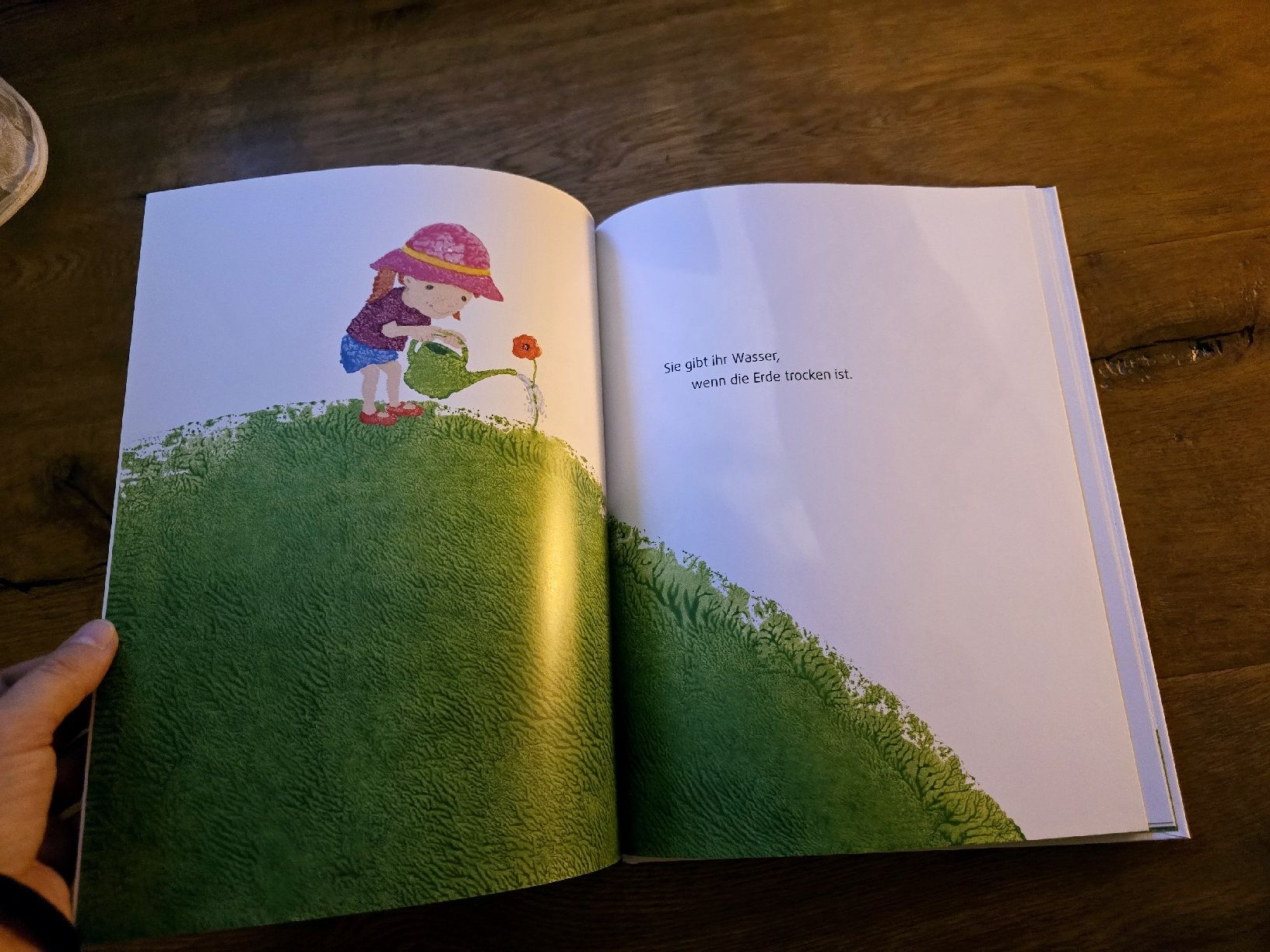 Libri: Lisas Mohnblume - Marcus Pfister - Kinderbuch – Usato da Wittenbach venduto da Tigerlili 3